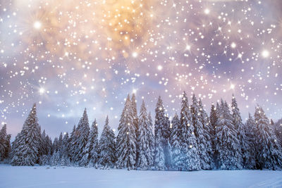 Trees on snow covered field against sky