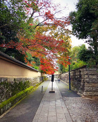 Footpath amidst trees against sky during autumn