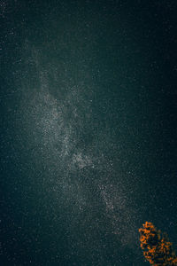 Low angle view of star field against star field