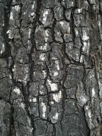 Full frame shot of stone wall