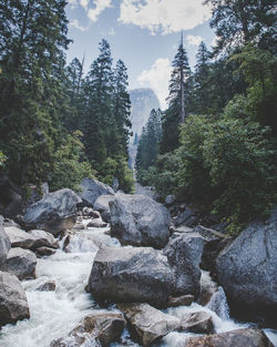 Scenic view of waterfall in forest against sky