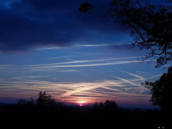 Low angle view of silhouette trees against sky during sunset