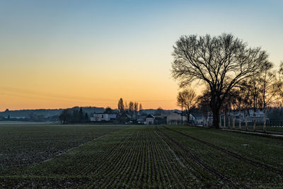 Scenic view of field against sky during sunset