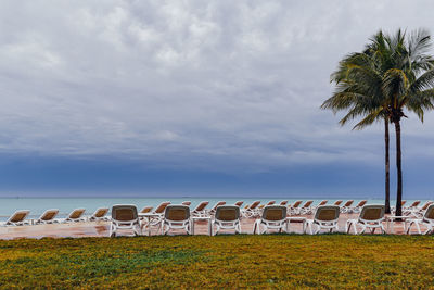 Palm trees on beach against sky