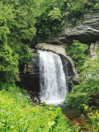 Scenic view of waterfall in forest