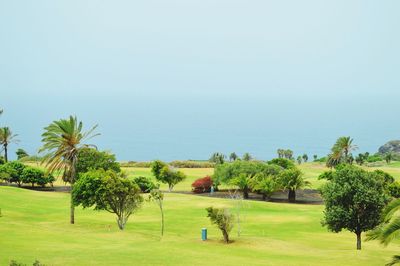 Scenic view of grassy field against sky