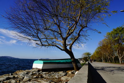 Bare tree by sea against sky