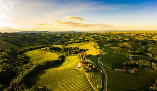 Sunset over beautiful green vineyards. aerial panorama sunset over austrian grape hills in spring