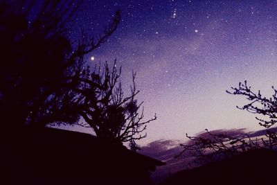 Low angle view of silhouette tree against sky at night