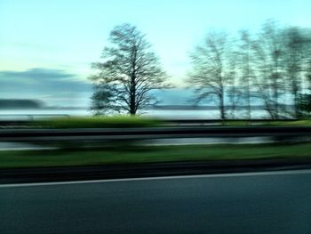 Road passing through bare trees