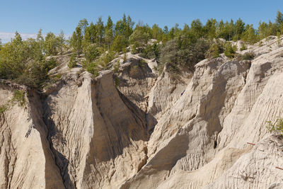 Panoramic view of trees against clear sky