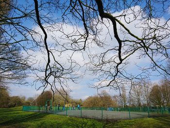 Bare trees in park
