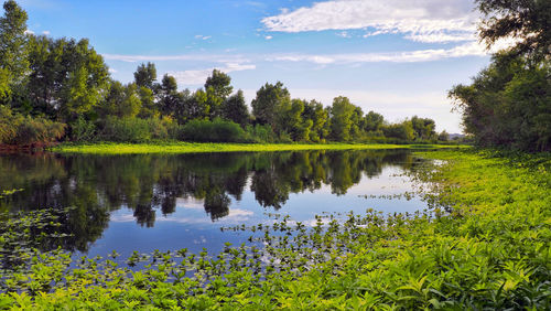 Scenic view of lake against sky