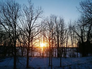 Silhouette trees against sky during sunset