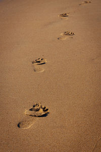 High angle view of footprints on sand at beach