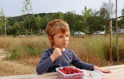 The blond boy eats his cherries and gazes happily into the distance. a contented boy eats fruit . 