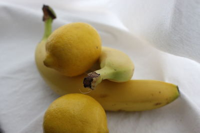 Close-up of fruits on table