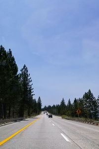 Road by trees against sky