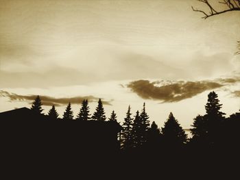Scenic view of trees against sky