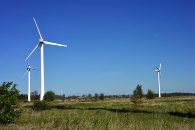 environmental conservation