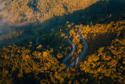 High angle view of road amidst trees