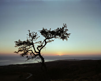 Silhouette tree on landscape against sky during sunset