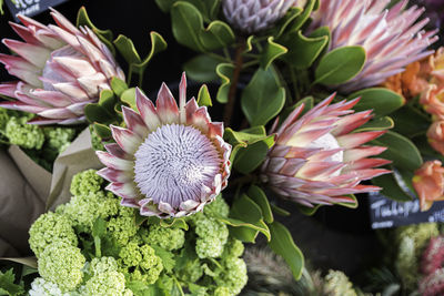 Close-up of flowering plant