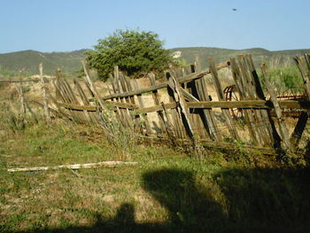 Scenic view of landscape against clear sky