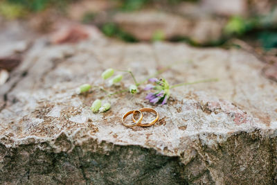 High angle view of wedding rings on rock