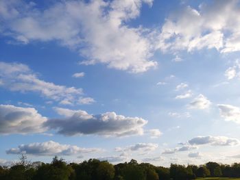 Low angle view of trees against sky