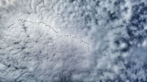 Low angle view of birds flying against clouds