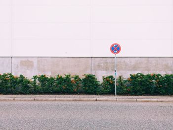 View of road sign against wall