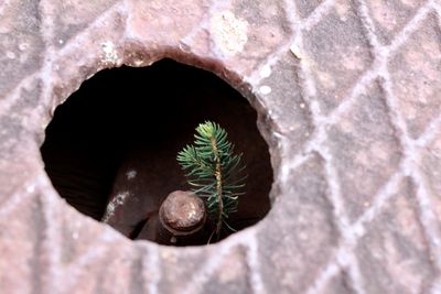 High angle view of hole on rock