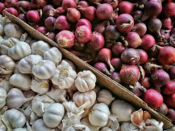 Close-up of garlic and red onions