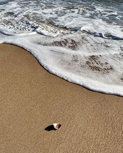 High angle view of a beach