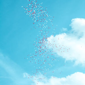 Low angle view of flowers against blue sky