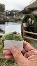 Close-up of hand holding ice cream