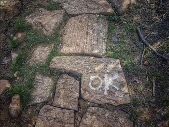 High angle view of stone wall