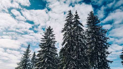 Low angle view of cloudy sky