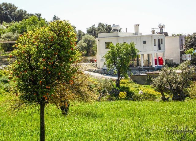 grass, tree, green color, growth, building exterior, field, built structure, architecture, clear sky, grassy, plant, nature, house, lawn, sky, day, outdoors, green, fence, no people