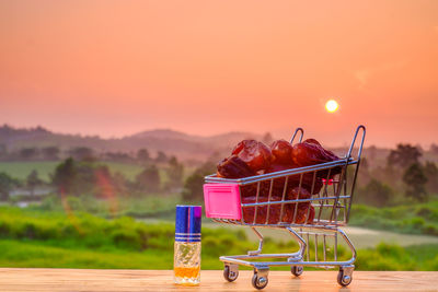 Close-up of orange fruits on table against sky during sunset