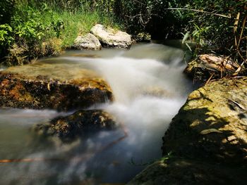 Scenic view of waterfall in forest