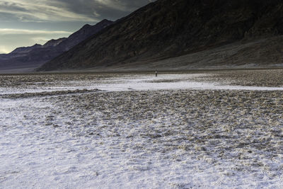 Scenic view of desert during winter