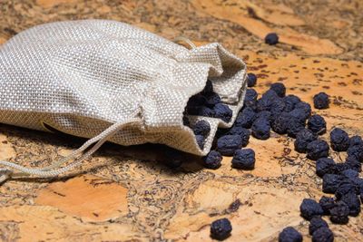 Close-up of lizard on sand