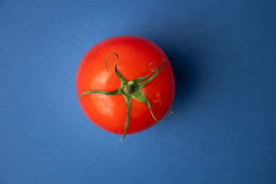 Close-up of apple against blue background