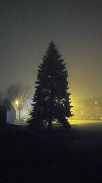 View of trees against sky at night