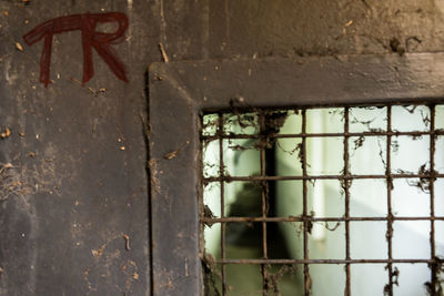 Close-up of rusty metal