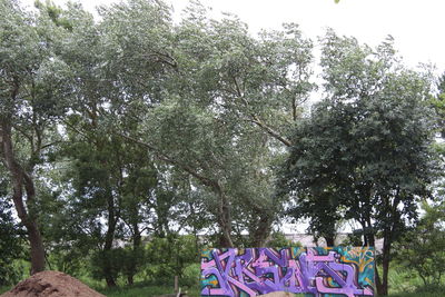 Trees against sky