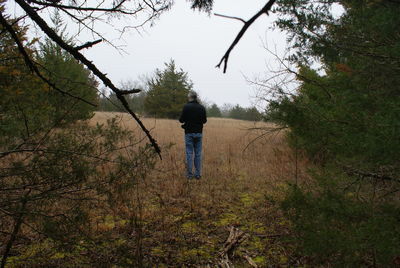 Rear view of man walking in forest