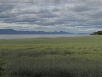 Scenic view of field against sky